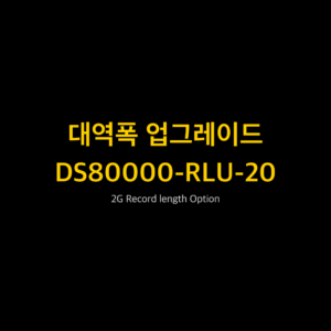 리골 RIGOL DS80000-RLU-20 2G Record length Option